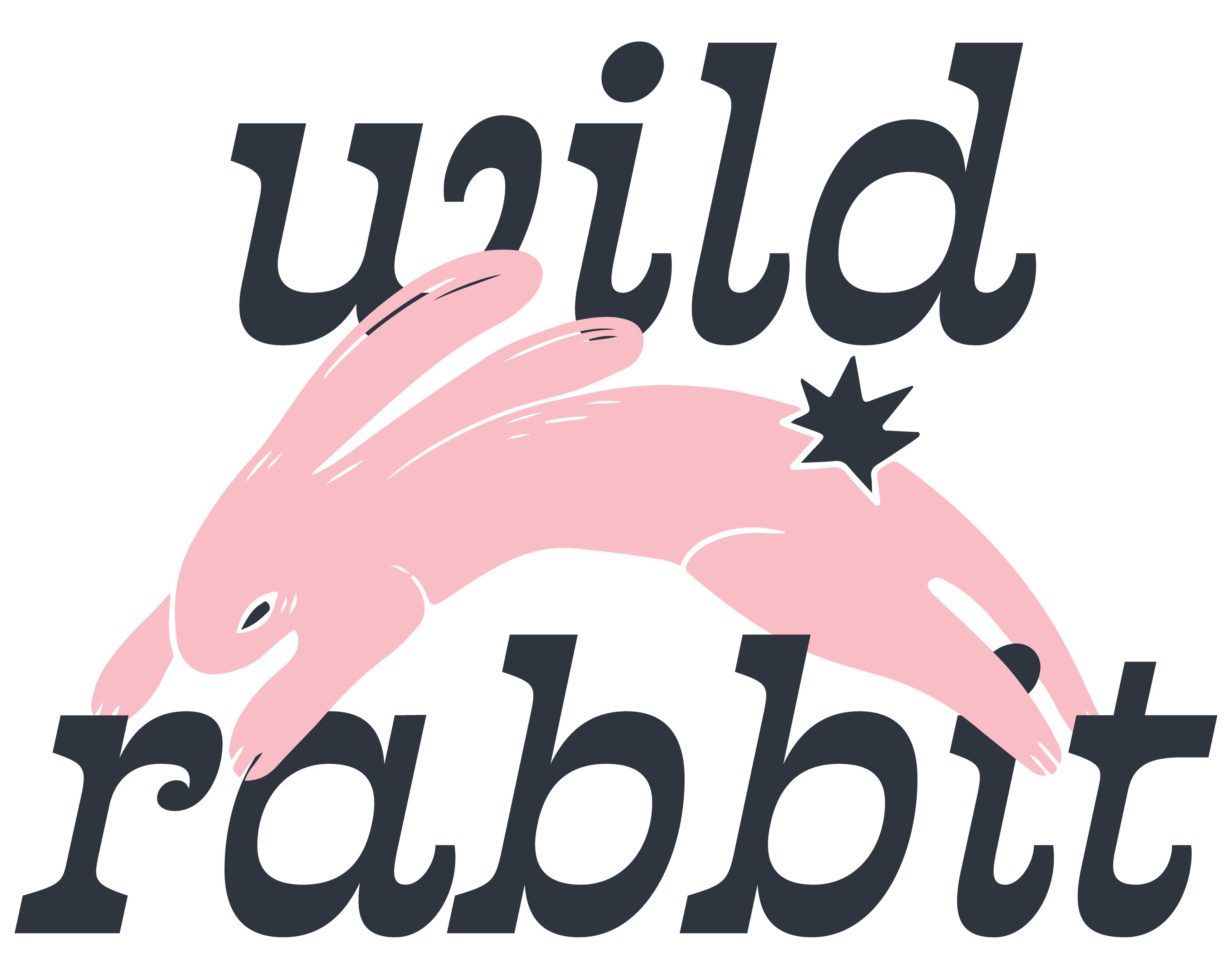 Wild Rabbit